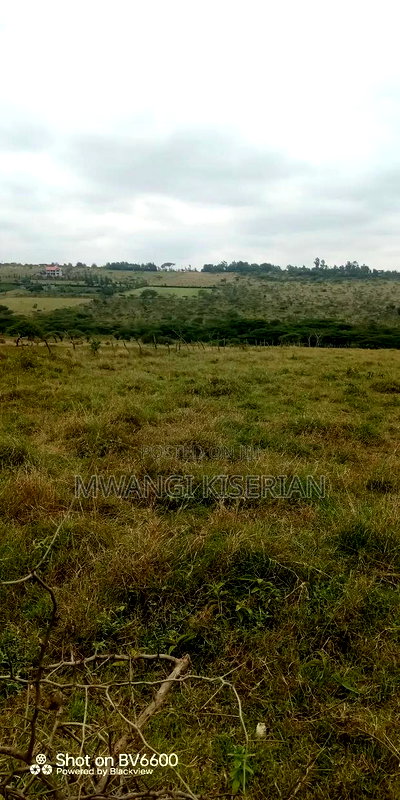 10acres for Sale in Kiserian Farmers - Image 12