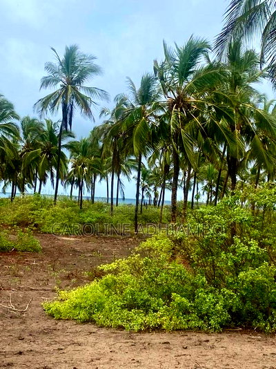 1/4 Acre Second Row Beach Plot. - Image 1