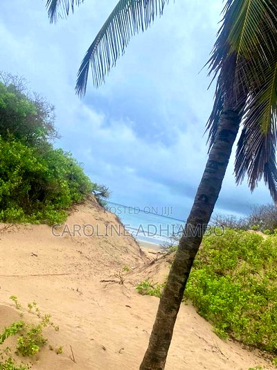 1/4 Acre Second Row Beach Plot. - Image 5