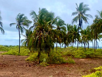 1/4 Acre Second Row Beach Plot. - Image 4