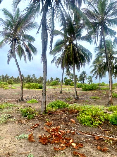 1/4 Acre Second Row Beach Plot. - Image 3