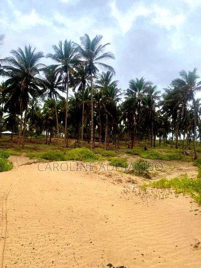 1/4 Acre Second Row Beach Plot. - Image 6