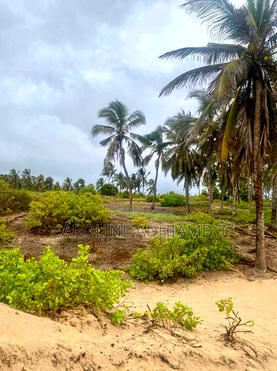 1/4 Acre Second Row Beach Plot. - Image 7