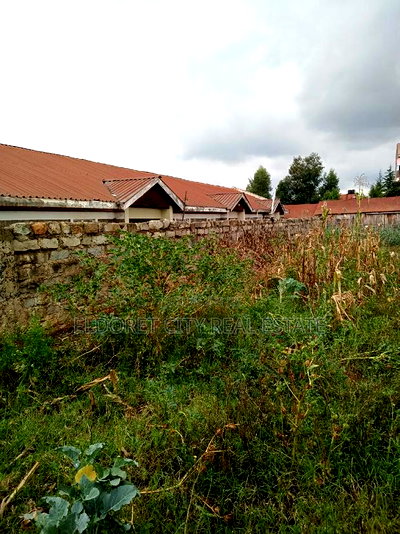 1/4 Plot Kimumu With Title 500metres From Tarmac - Image 2