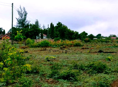 Bofa Beach Plots Sale - Image 11