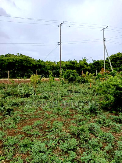 Bofa Beach Plots Sale - Image 4