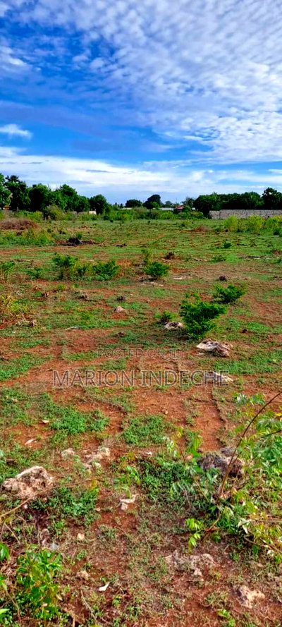 Bofa Beach Plots Sale - Image 10