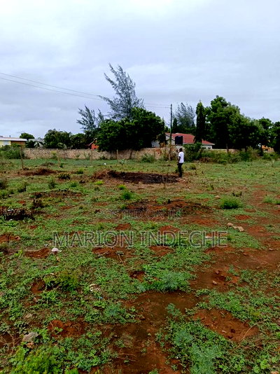 Bofa Beach Plots Sale - Image 6