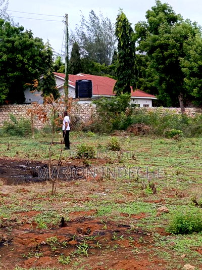 Bofa Beach Plots Sale - Image 5