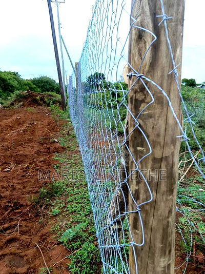 Bofa Beach Plots Sale - Image 8