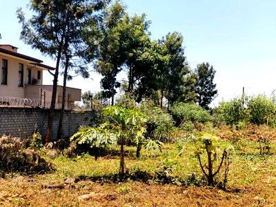 1/2,Acre on Sale at Kiambu Kiukenda Estate Off Kamiti Rd at 19M - Image 6
