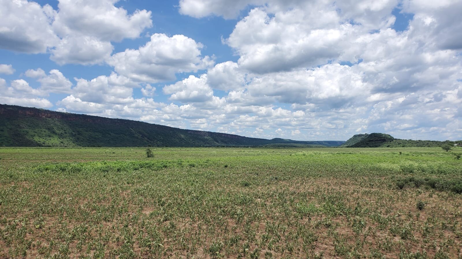 One Acres for Sale in Tinga/Oletepesi