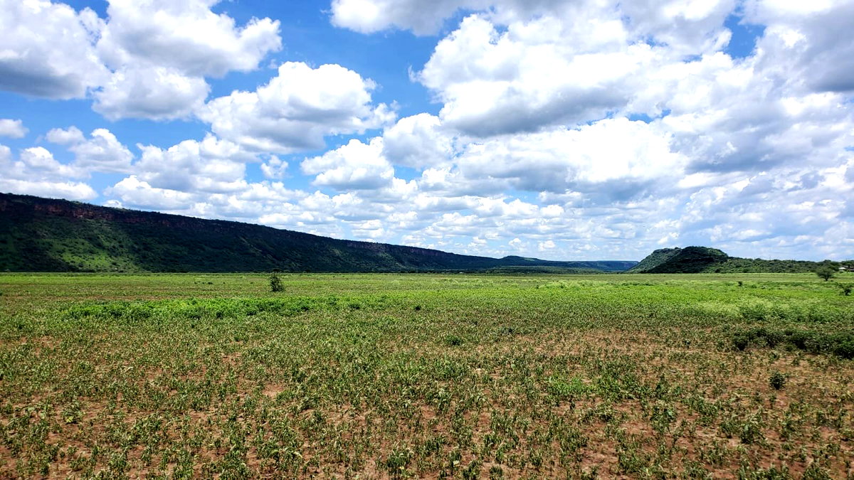 One Acres for Sale in Tinga/Oletepesi