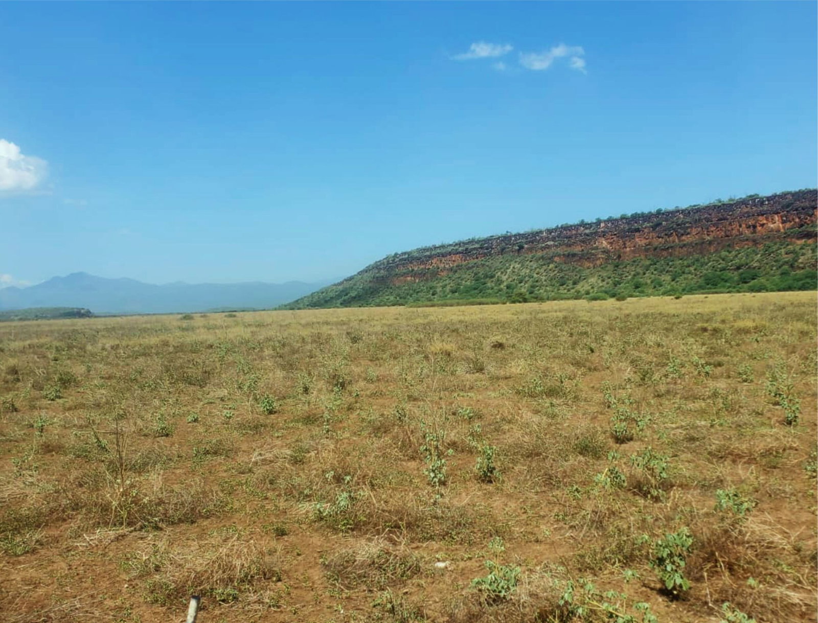 One Acres for Sale in Tinga/Oletepesi
