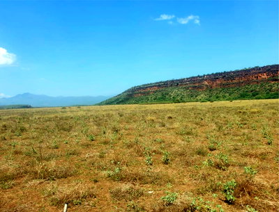 One Acres for Sale in Tinga/Oletepesi - Image 2