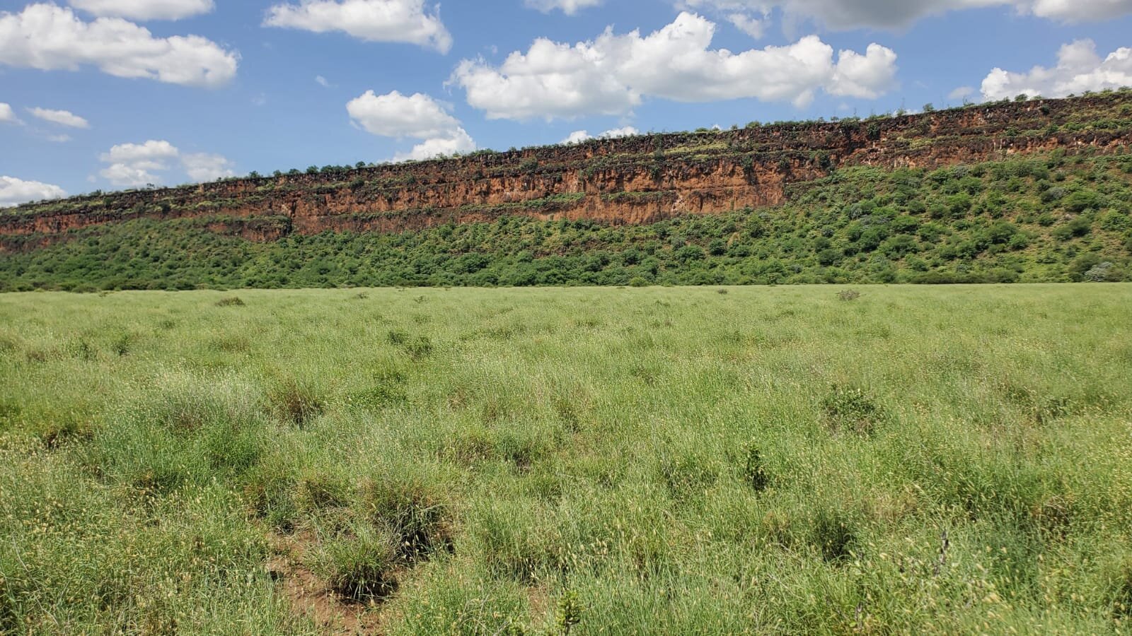 One Acres for Sale in Tinga/Oletepesi