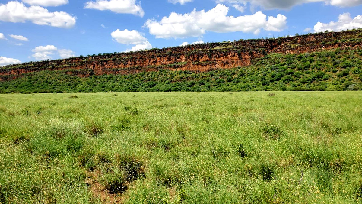 One Acres for Sale in Tinga/Oletepesi