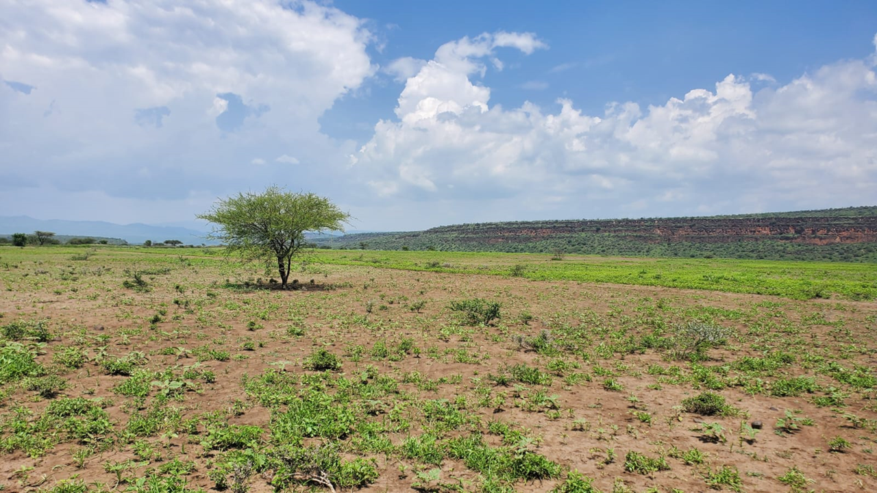 One Acres for Sale in Tinga/Oletepesi