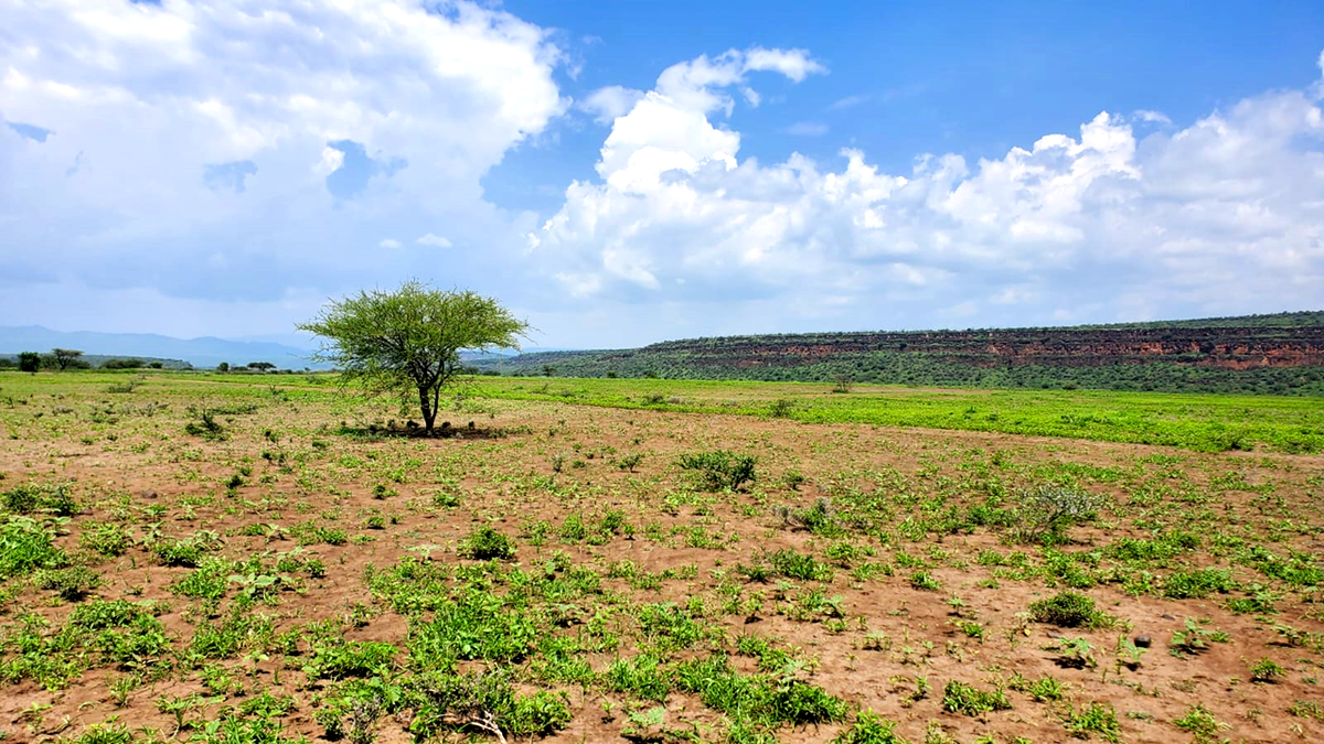 One Acres for Sale in Tinga/Oletepesi