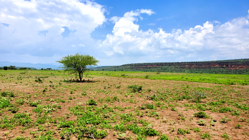 One Acres for Sale in Tinga/Oletepesi