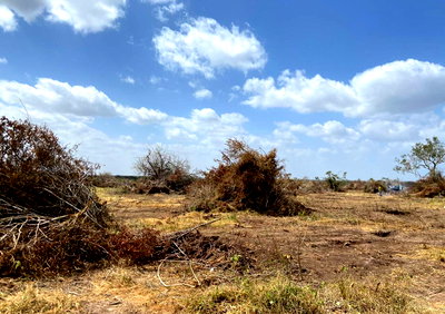 1-Acre Plot at KSh 350K