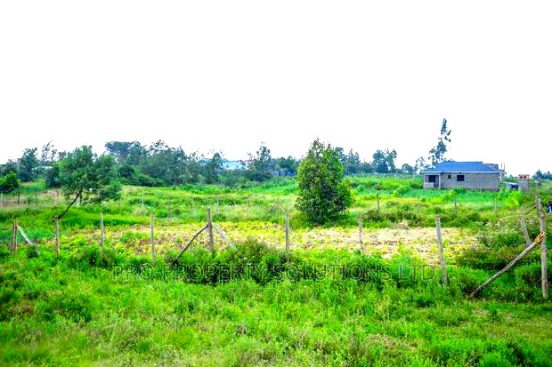 Prime Residential Plots for Sale in Kikuyu, Kamangu.
