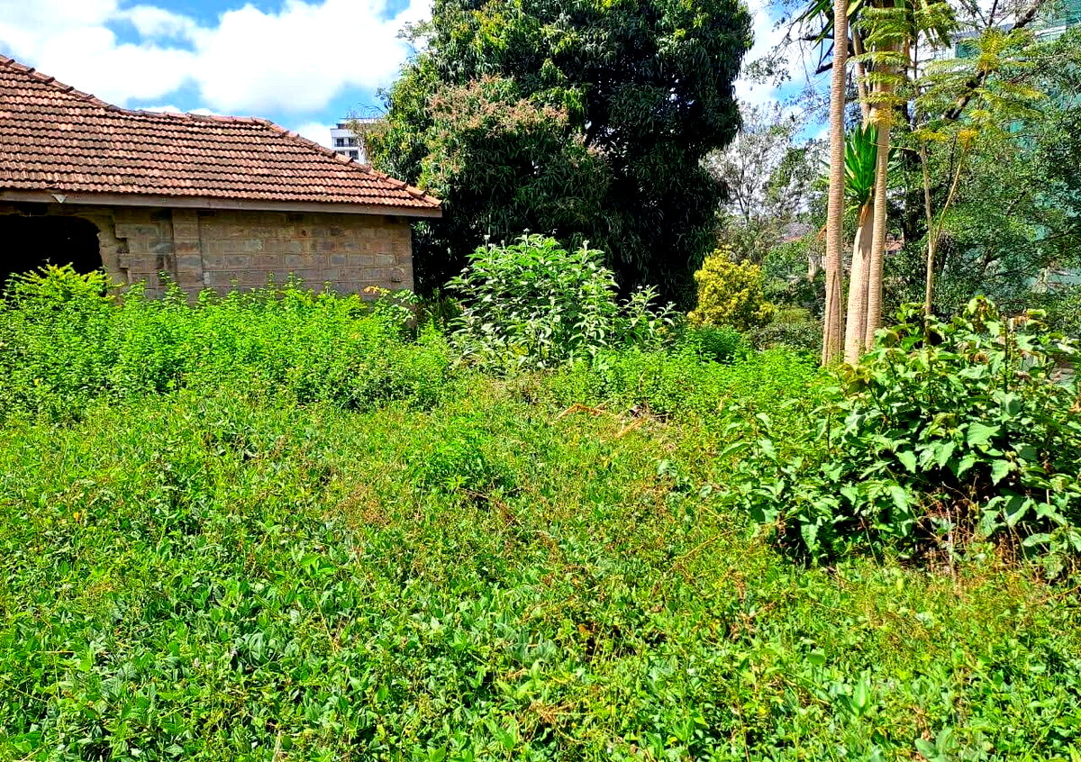 1-Acre Garden Plot with Parking at KSh 420M