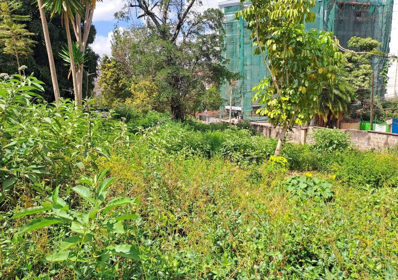 1-Acre Garden Plot with Parking at KSh 420M