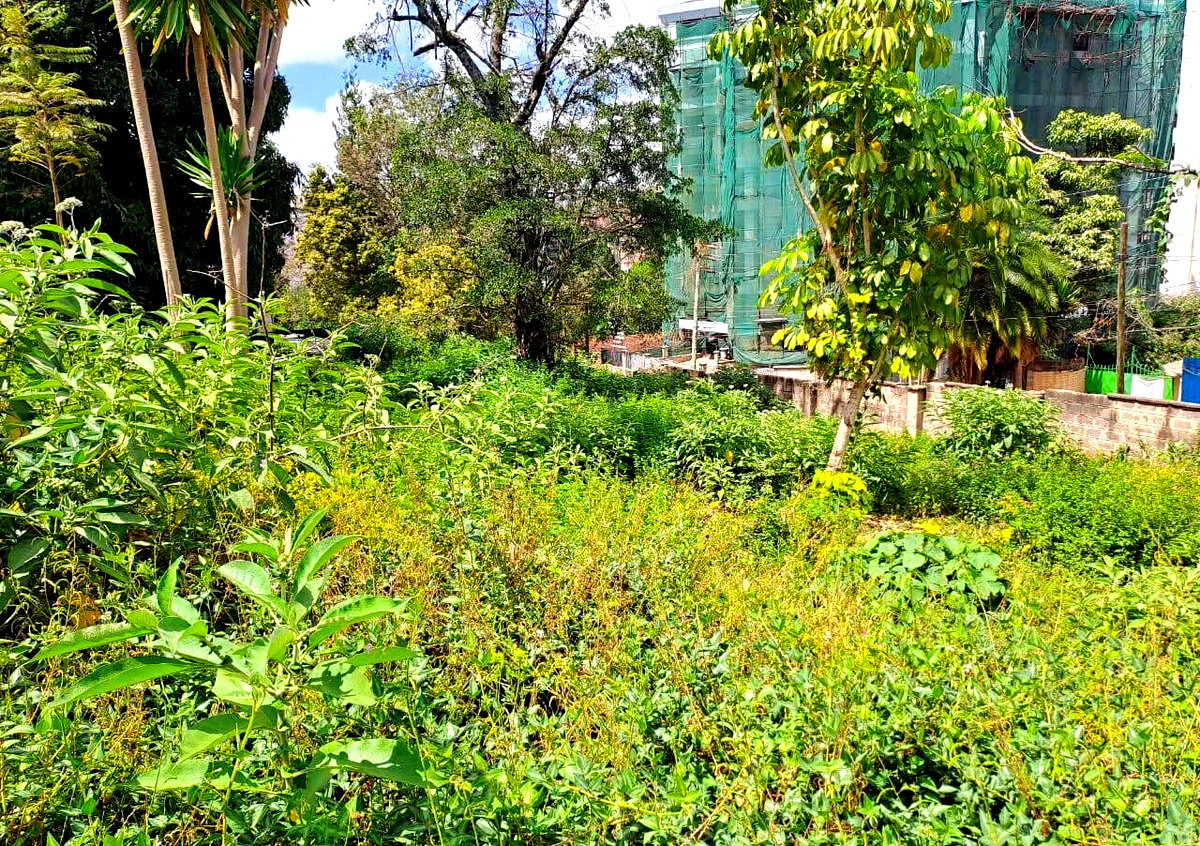 1-Acre Garden Plot with Parking at KSh 420M