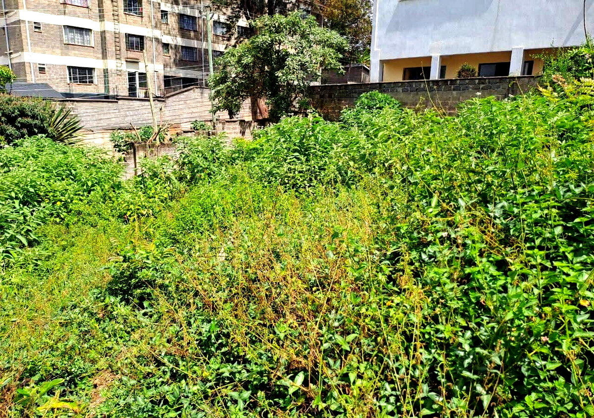 1-Acre Garden Plot with Parking at KSh 420M