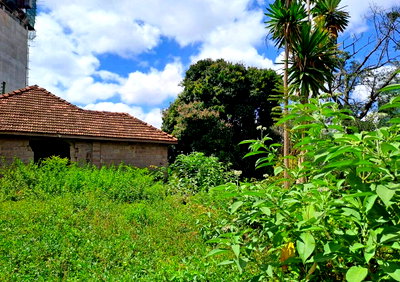 1-Acre Garden Plot with Parking at KSh 420M