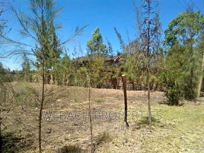 Prime Residential Plot for Sale Syokimau Parliament Road - Image 4