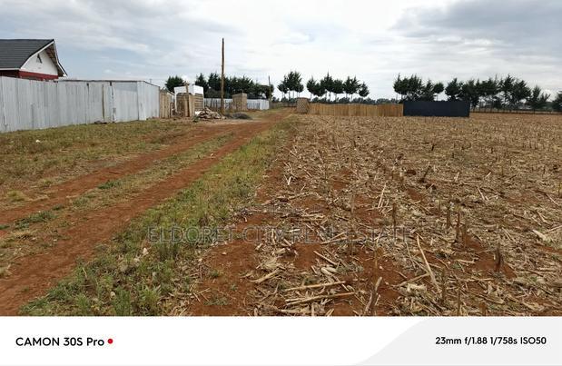 1/8 Plots Marura Chamaluk With Title