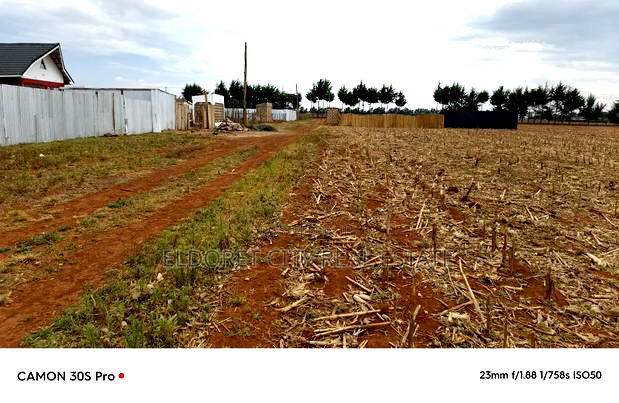 1/8 Plots Marura Chamaluk With Title