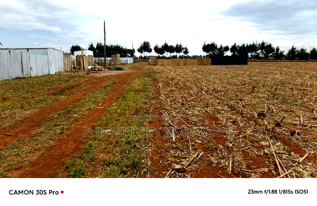 1/8 Plots Marura Chamaluk With Title