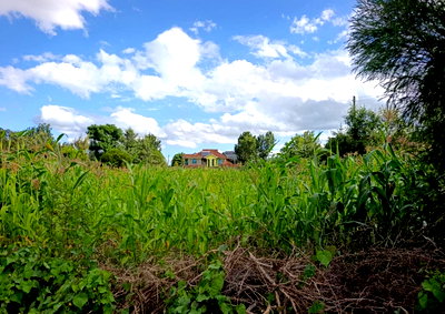 Quarter Acre Garden Plot