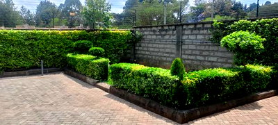 5bdrm Maisonette in Kerarapon Drive, Ngong for sale - Image 3
