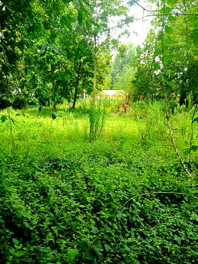 1/2 Racecourse Touching Tarmac With Title. - Image 3