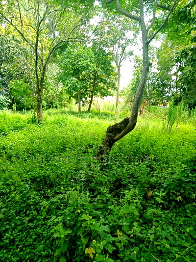 1/2 Racecourse Touching Tarmac With Title. - Image 1