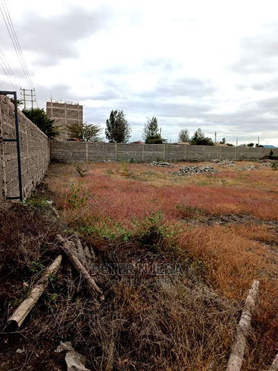 2 Acres Kag University Kitengela - Image 9