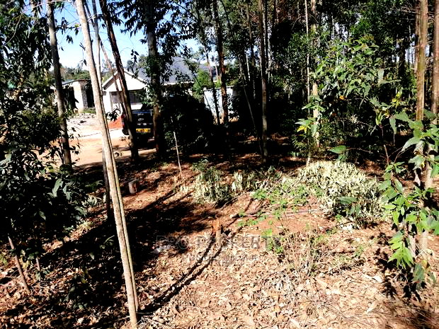 Prime 50x100ft for Sale in Kikuyu, Kamangu.