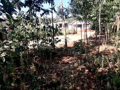 Prime 50x100ft for Sale in Kikuyu, Kamangu. - Image 8