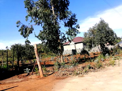 Prime 50x100ft for Sale in Kikuyu, Kamangu. - Image 1