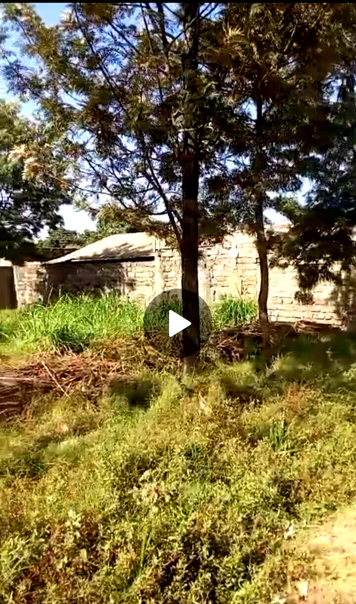 KSh 12.5M Serviced Plot