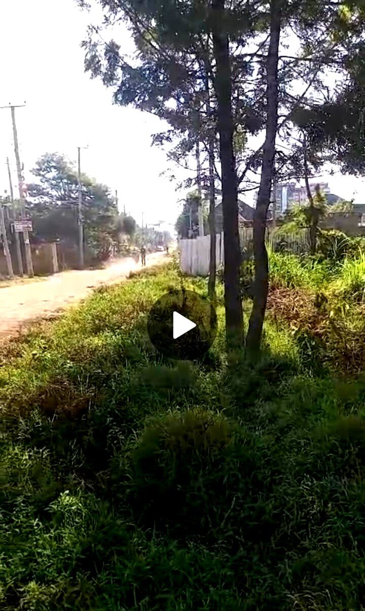 KSh 12.5M Serviced Plot