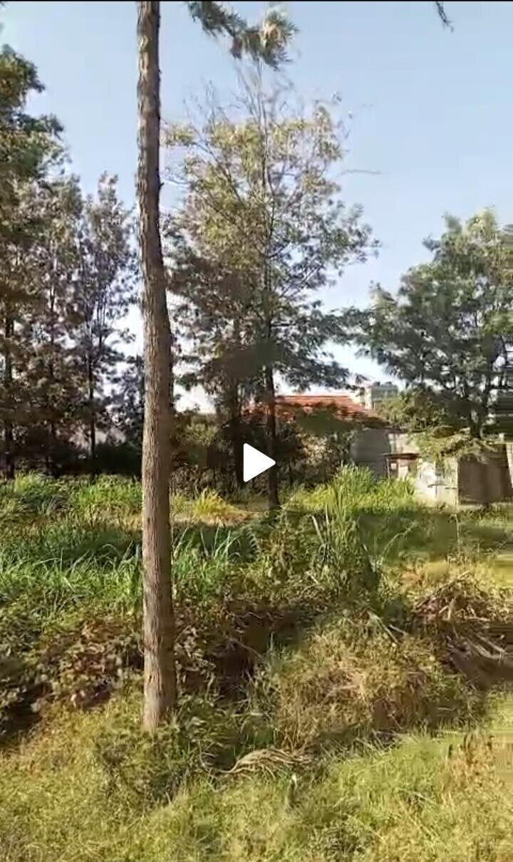 KSh 12.5M Serviced Plot