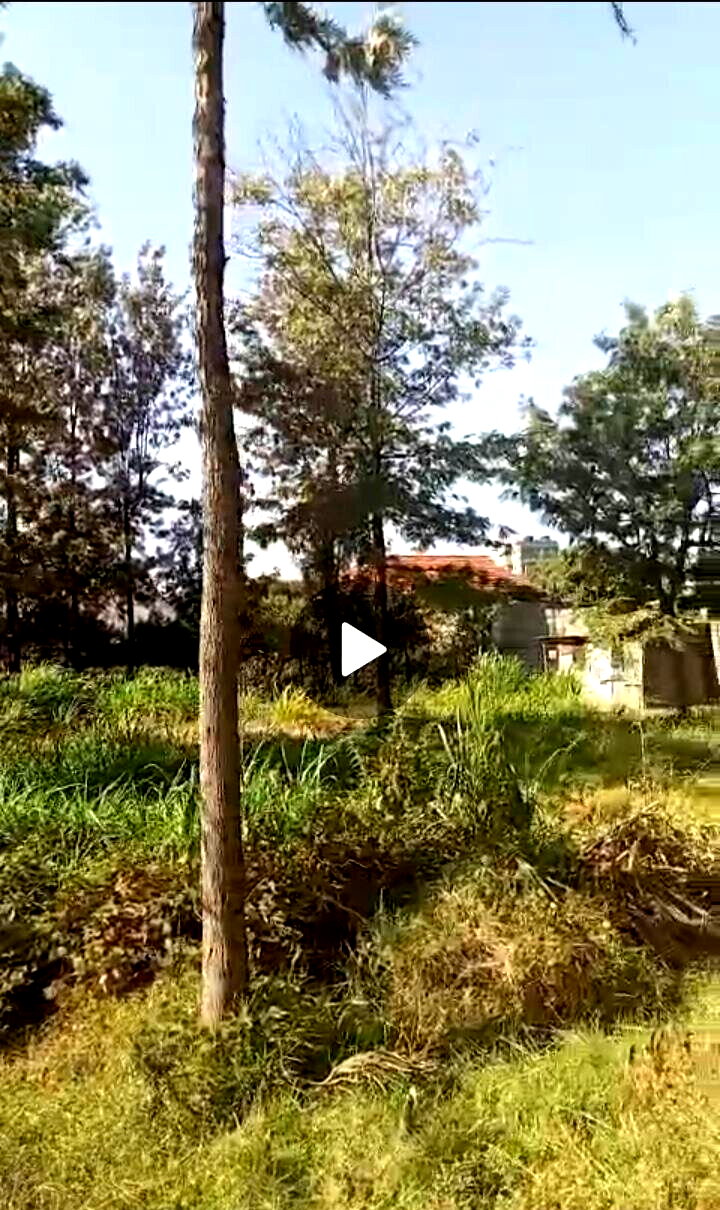 KSh 12.5M Serviced Plot
