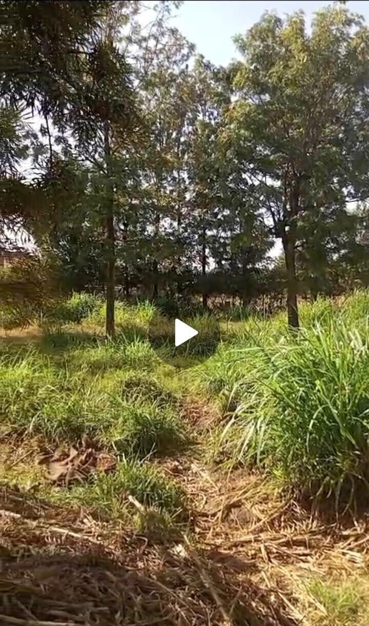 KSh 12.5M Serviced Plot
