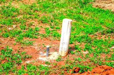 Prime Plots for Sale in a Gated Community in Kikuyu,Thigio - Image 3