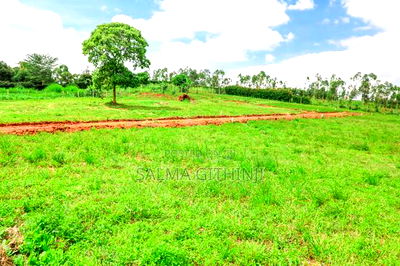 Prime Plots for Sale in a Gated Community in Kikuyu,Thigio - Image 6